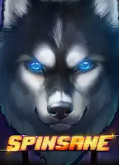 Spinsane